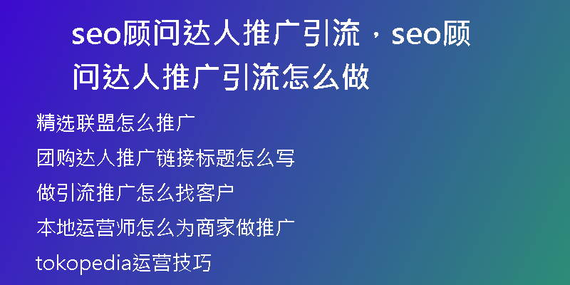 seo顾问达人推广引流，seo顾问达人推广引流怎么做