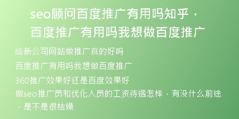 seo顾问百度推广有用吗知乎，百度推广有用吗我想做百度推广