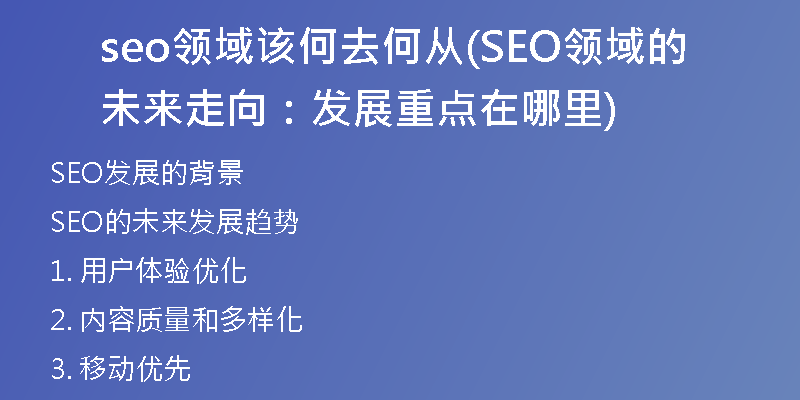 seo领域该何去何从(SEO领域的未来走向：发展重点在哪里)