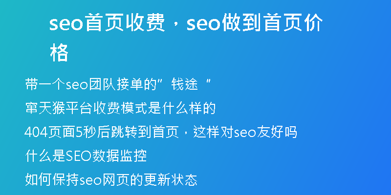 seo首页收费，seo做到首页价格