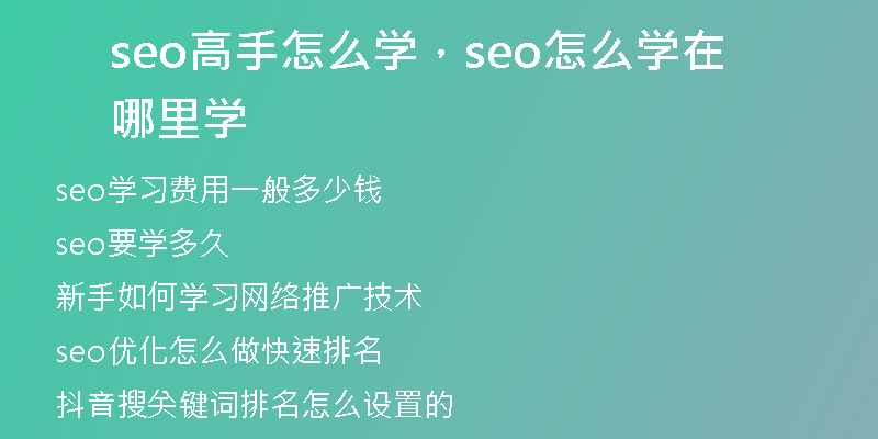 seo高手怎么学，seo怎么学在哪里学