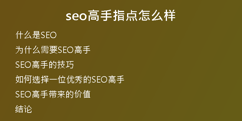seo高手指点怎么样