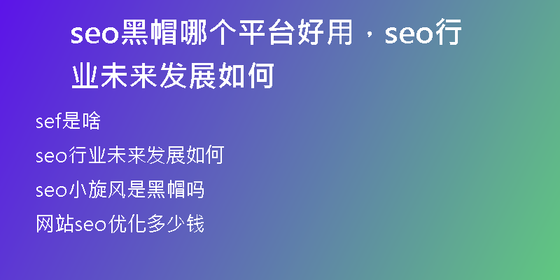 seo黑帽哪个平台好用，seo行业未来发展如何