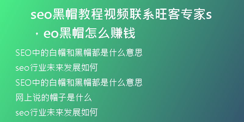 seo黑帽教程视频联系旺客专家，seo黑帽怎么赚钱