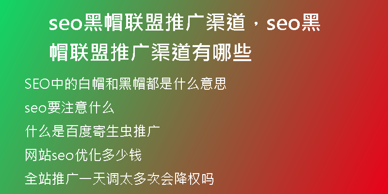 seo黑帽联盟推广渠道，seo黑帽联盟推广渠道有哪些
