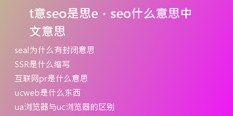 t意seo是思e，seo什么意思中文意思