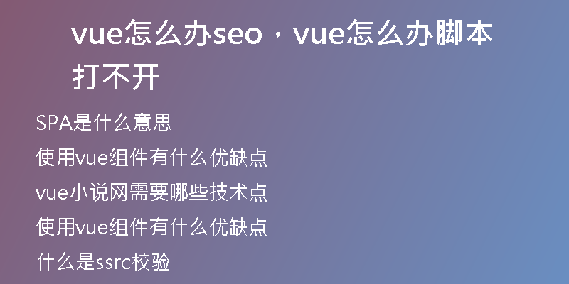 vue怎么办seo，vue怎么办脚本打不开