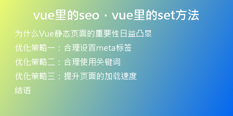 vue里的seo，vue里的set方法