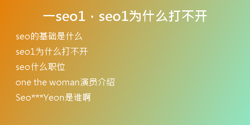 一seo1，seo1为什么打不开