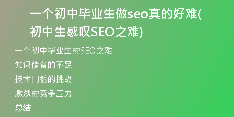 一个初中毕业生做seo真的好难(初中生感叹SEO之难)