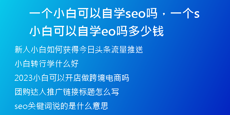 一个小白可以自学seo吗，一个小白可以自学seo吗多少钱
