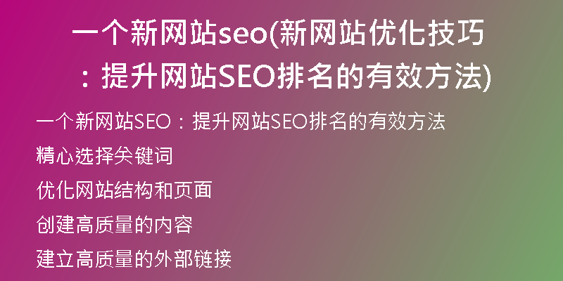 一个新网站seo(新网站优化技巧:提升网站SEO排名的有效方法)