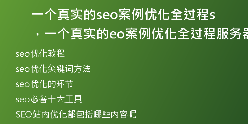一个真实的seo案例优化全过程，一个真实的seo案例优化全过程服务器
