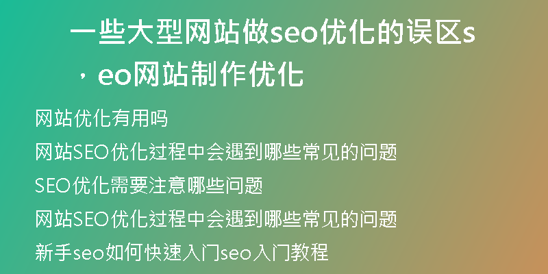 一些大型网站做seo优化的误区,seo网站制作优化