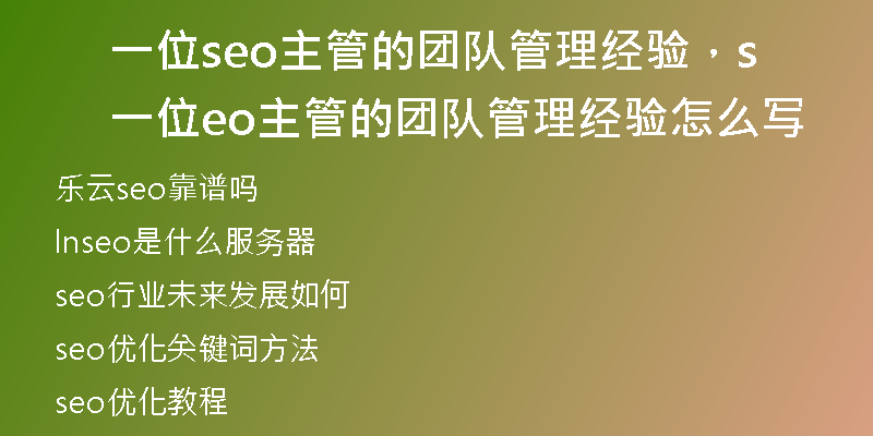 一位seo主管的团队管理经验,一位seo主管的团队管理经验怎么写