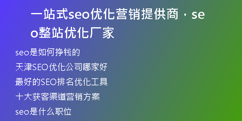 一站式seo优化营销提供商，seo整站优化厂家