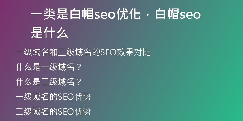 一类是白帽seo优化，白帽seo是什么