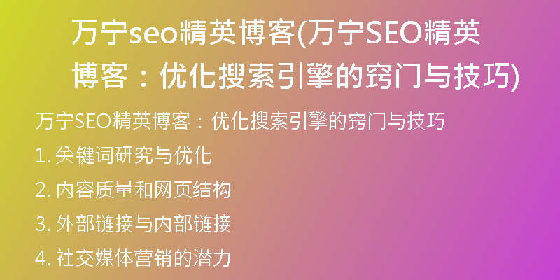 万宁seo精英博客(万宁SEO精英博客：优化搜索引擎的窍门与技巧)