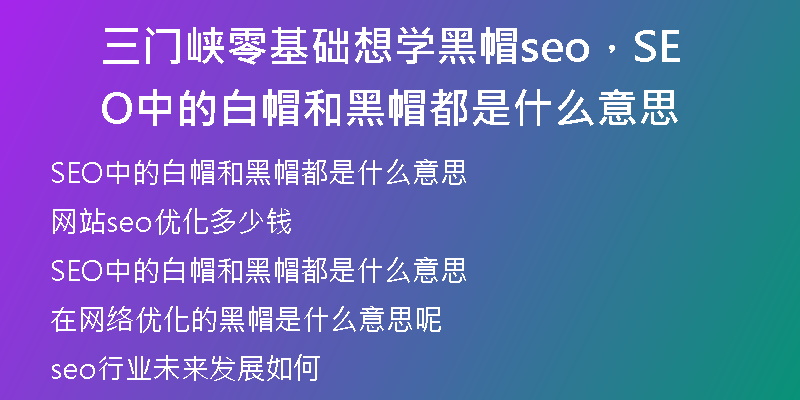 三门峡零基础想学黑帽seo，SEO中的白帽和黑帽都是什么意思