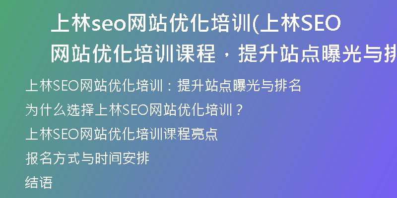 上林seo网站优化培训(上林SEO网站优化培训课程，提升站点曝光与排名)