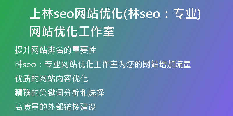 上林seo网站优化(林seo：专业网站优化工作室)