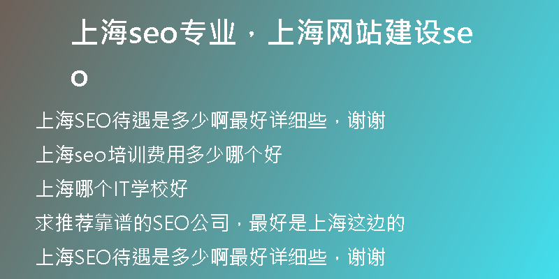 上海seo专业，上海网站建设seo