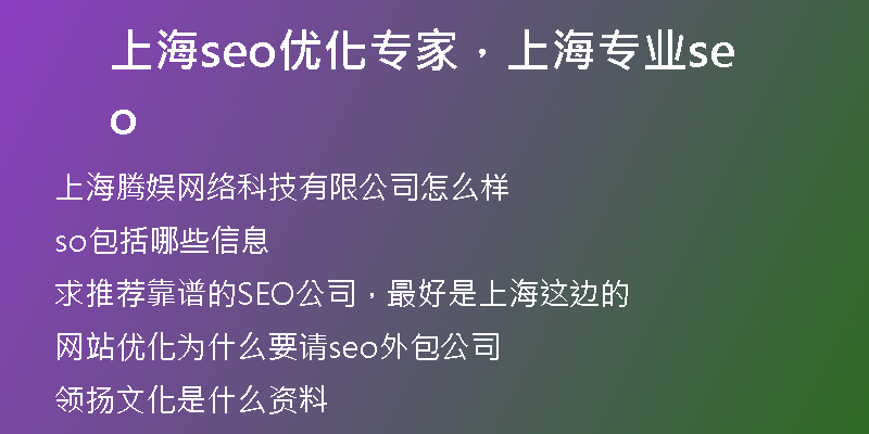 上海seo优化专家，上海专业seo