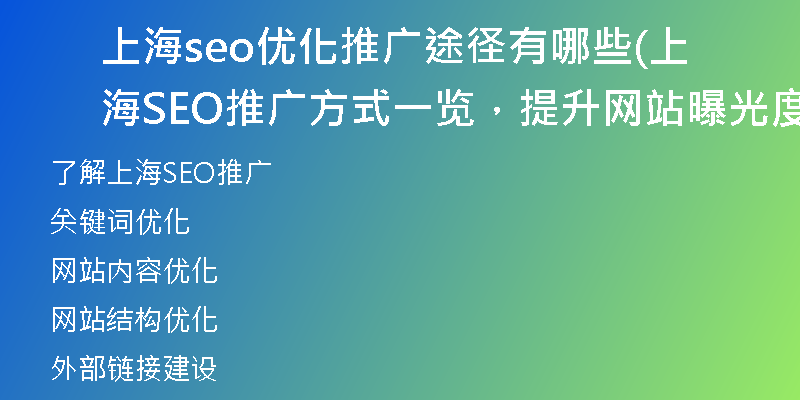上海seo优化推广途径有哪些(上海SEO推广方式一览，提升网站曝光度)
