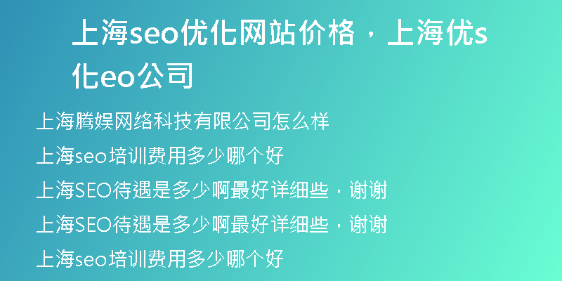上海seo优化网站价格，上海优化seo公司