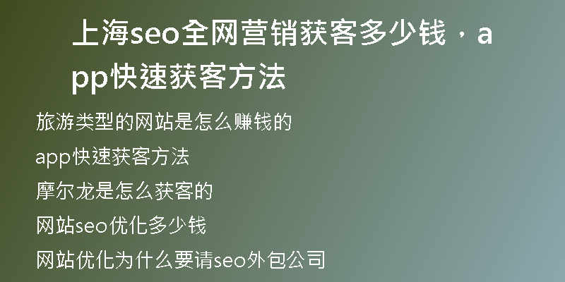 上海seo全网营销获客多少钱，app快速获客方法
