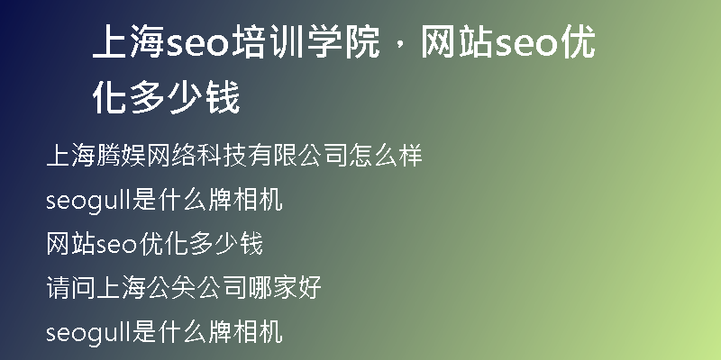 上海seo培训学院，网站seo优化多少钱