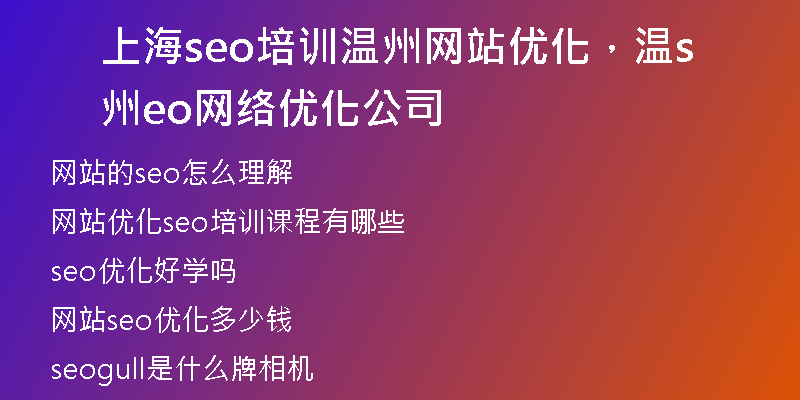 上海seo培训温州网站优化，温州seo网络优化公司