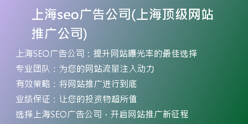 上海seo广告公司(上海顶级网站推广公司)