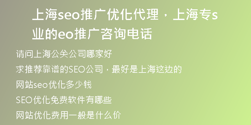 上海seo推广优化代理，上海专业的seo推广咨询电话