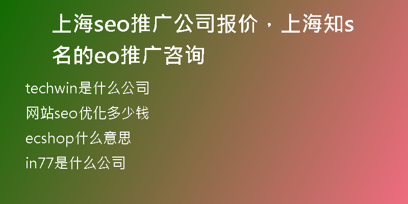 上海seo推广公司报价，上海知名的seo推广咨询