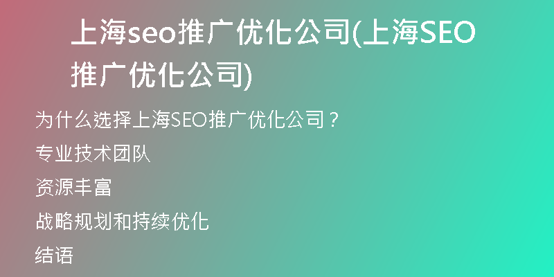 上海seo推广优化公司(上海SEO推广优化公司)