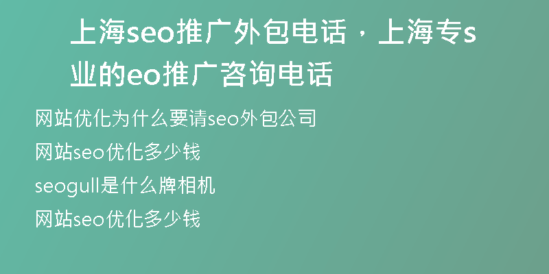 上海seo推广外包电话，上海专业的seo推广咨询电话