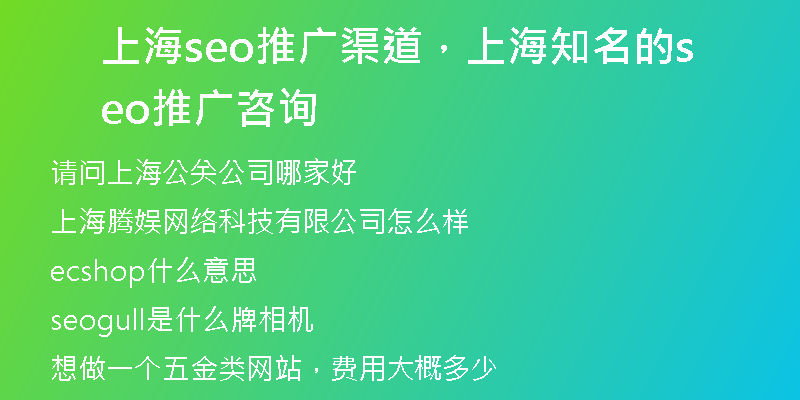 上海seo推广渠道，上海知名的seo推广咨询