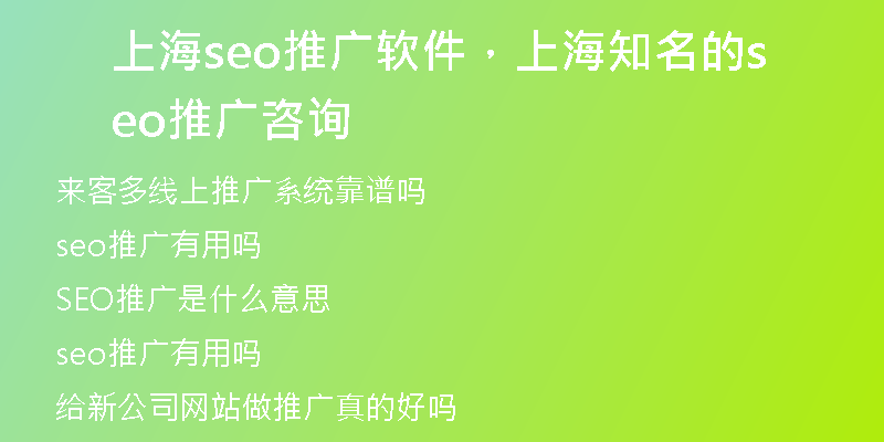 上海seo推广软件，上海知名的seo推广咨询