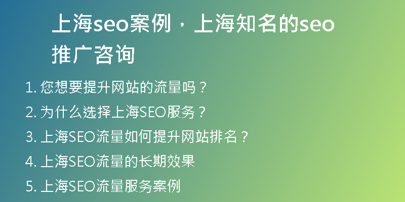 上海seo案例，上海知名的seo推广咨询