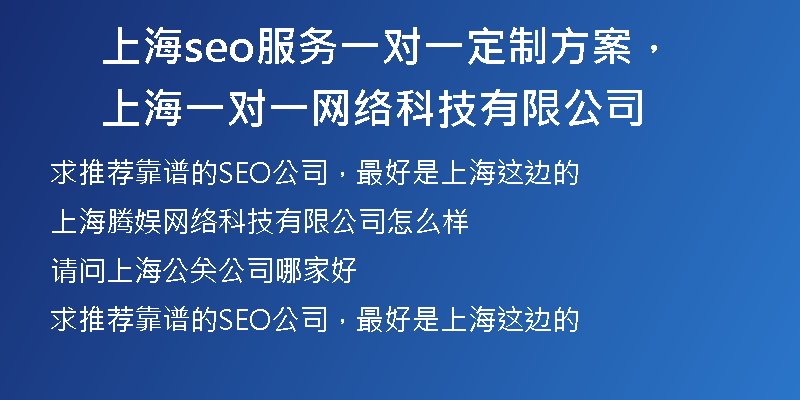 上海seo服务一对一定制方案，上海一对一网络科技有限公司