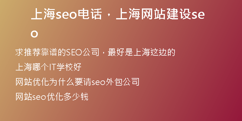 上海seo电话，上海网站建设seo