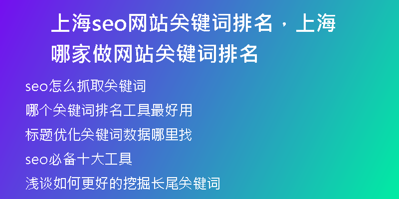上海seo网站关键词排名，上海哪家做网站关键词排名