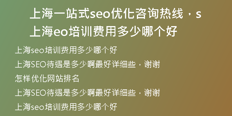上海一站式seo优化咨询热线,上海seo培训费用多少哪个好