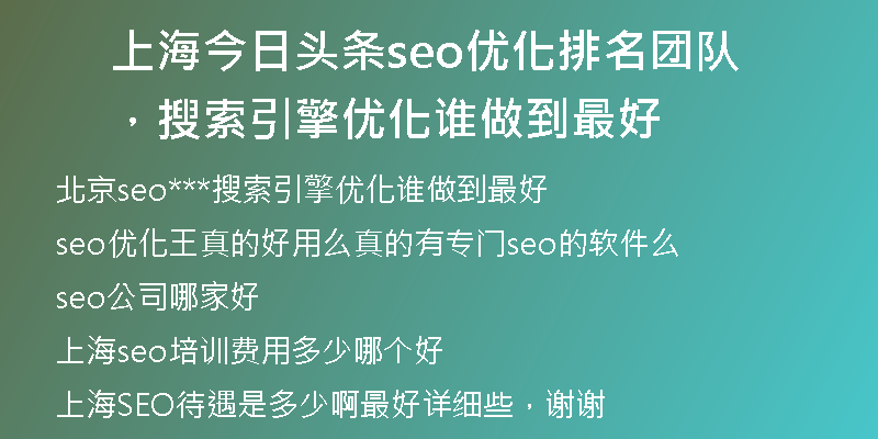 上海今日头条seo优化排名团队，搜索引擎优化谁做到最好