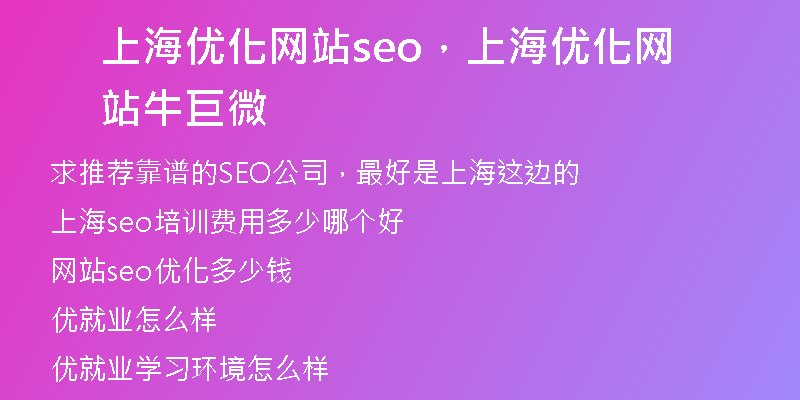 上海优化网站seo，上海优化网站牛巨微
