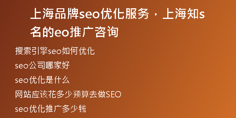 上海品牌seo优化服务，上海知名的seo推广咨询