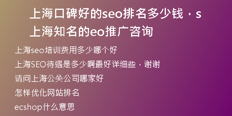 上海口碑好的seo排名多少钱，上海知名的seo推广咨询