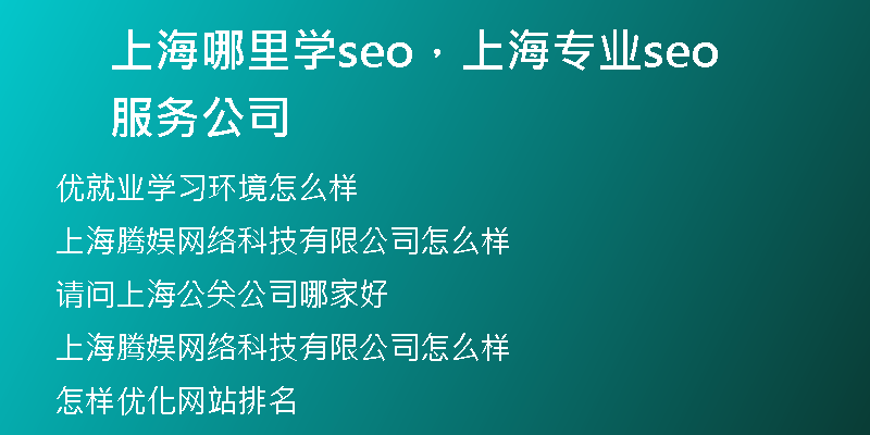 上海哪里学seo，上海专业seo服务公司