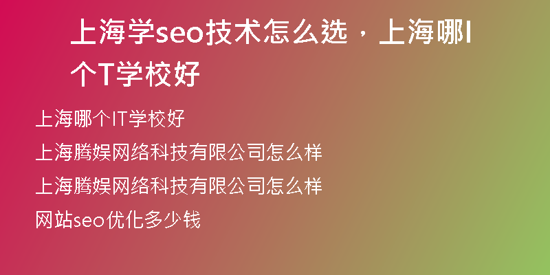 上海学seo技术怎么选，上海哪个IT学校好